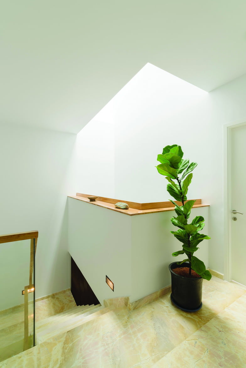 _IMG2586_resize_resize