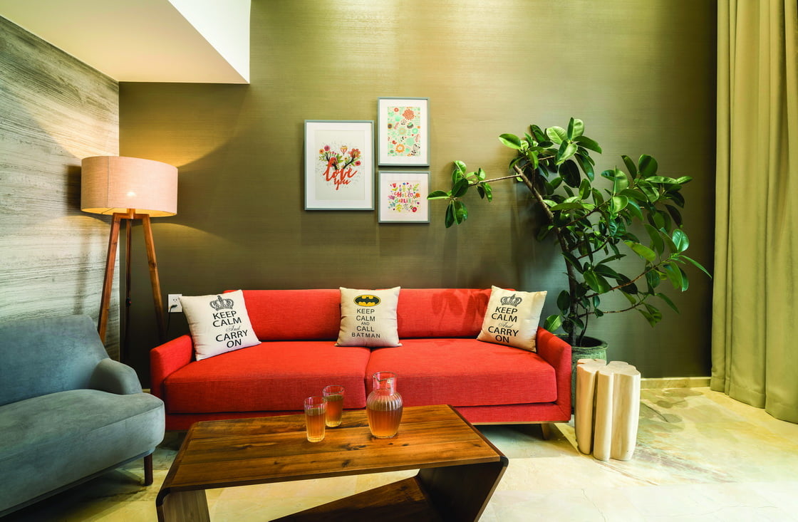 _IMG2645_resize_resize