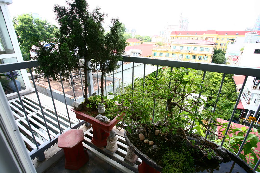 IMG_3341-Modify_resize