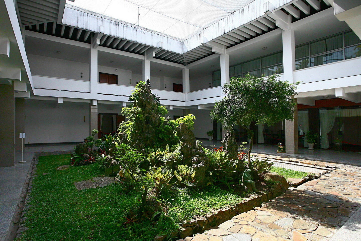 Mang_xanh (09)_resize