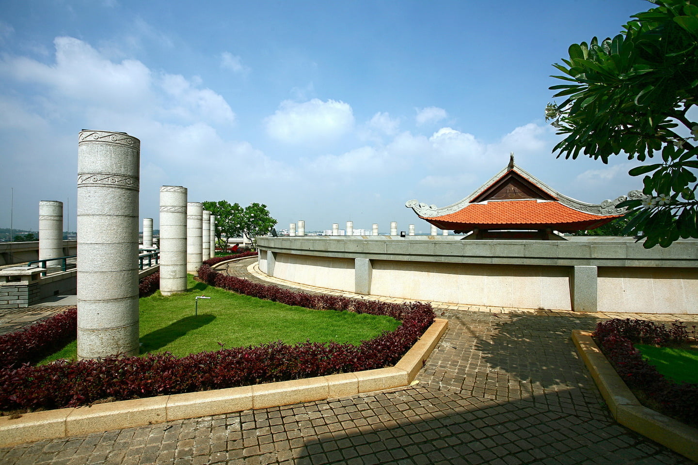 Mang_xanh (11)_resize