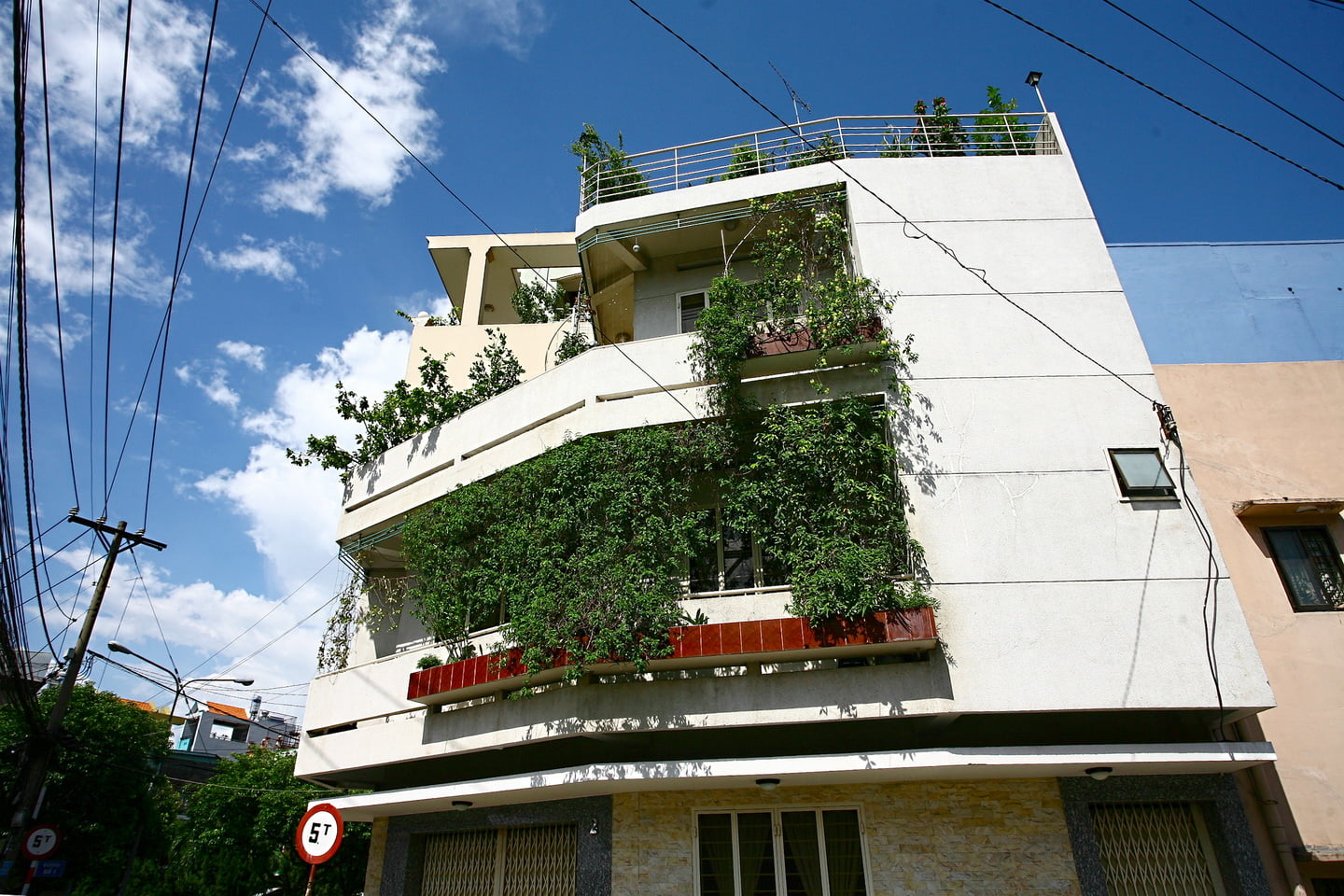 Mang_xanh (14)_resize