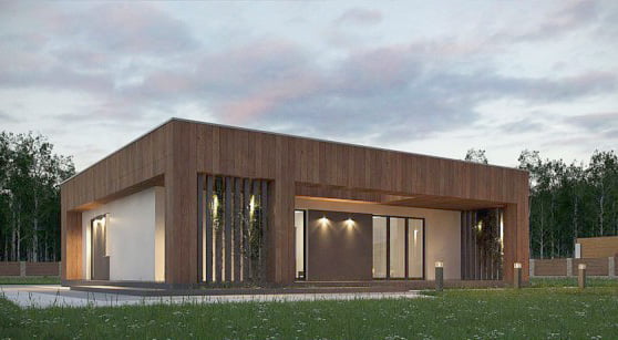 8 mẫu nhà cấp 4 mái bằng hiện đại và sang chảnh_view 4