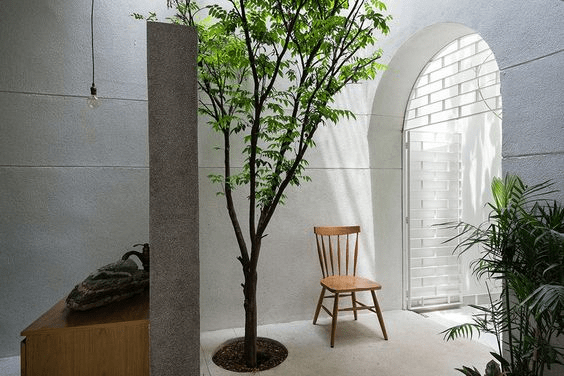 Giai Phap Cay Xanh Cho Thiet Ke Nha Ong (1)