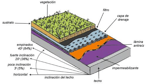 Quy Trinh Chong Tham Va Trong Cay Tren San Thuong (12)