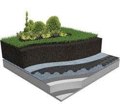 Quy Trinh Chong Tham Va Trong Cay Tren San Thuong (4)