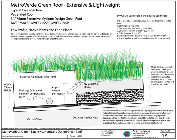 Quy Trinh Chong Tham Va Trong Cay Tren San Thuong (7)