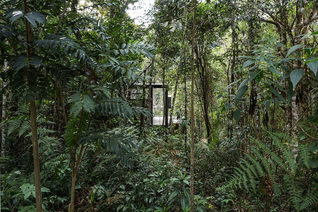 Cabin nhà nhỏ xinh ẩn náu trong rừng đẹp lạ như bước ra từ cổ tích - Ảnh 4. Cabin nhà nhỏ xinh ẩn náu trong rừng đẹp lạ như bước ra từ cổ tích - Ảnh 4.