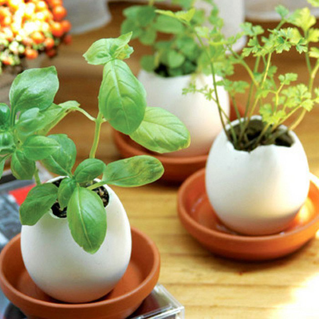 Trồng rau gia vị từ đồ cũ rất dễ dàng trong căn bếp với 10 ý tưởng cực thông minh - Ảnh 12.