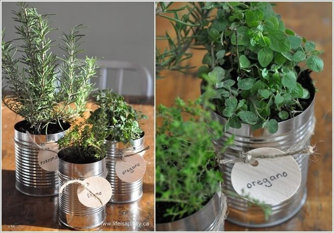 Trồng rau gia vị từ đồ cũ rất dễ dàng trong căn bếp với 10 ý tưởng cực thông minh - Ảnh 15.