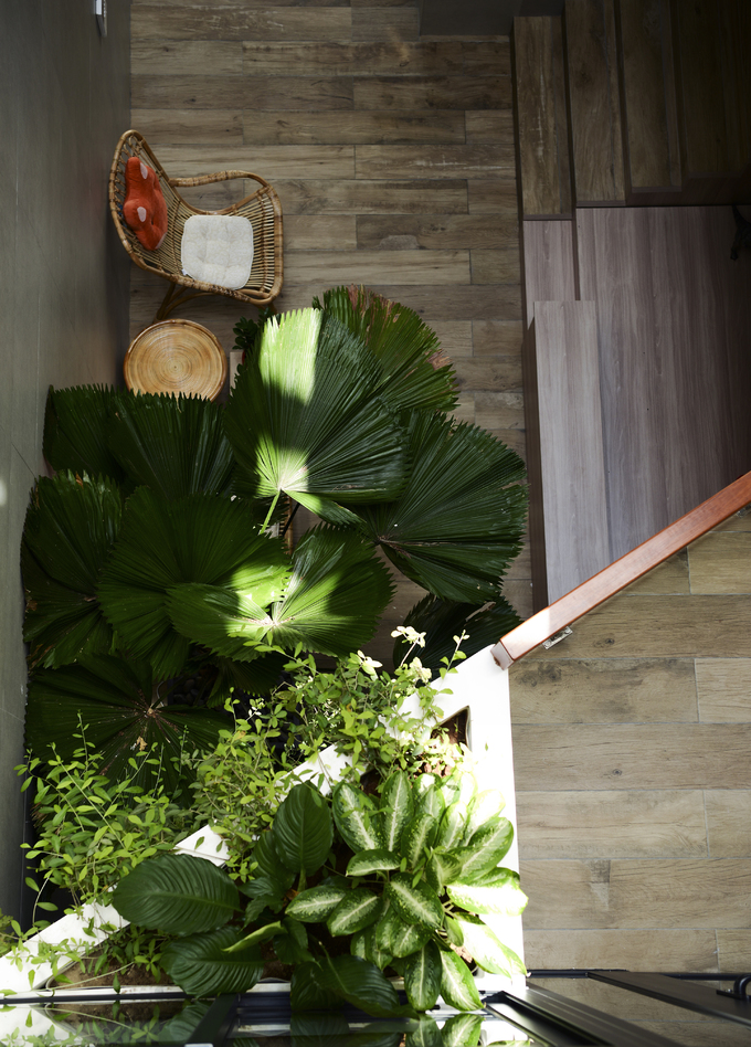  Cây nội thất xuất hiện khắp nơi, mang màu xanh vào trong không gian đồng thời giúp gia chủ gắn kết với thiên nhiên hơn.