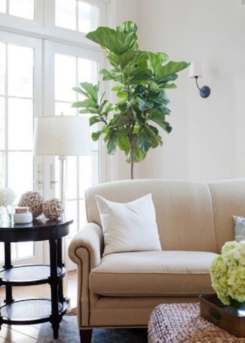  Ghế sofa thường có hai loại lưng tựa là lưng có đệm hoặc lưng gối có thể tháo dời. Tùy vào sở thích và việc dọn vệ sinh bạn hãy cân nhắc loại ghế có lưng tựa phù hợp.