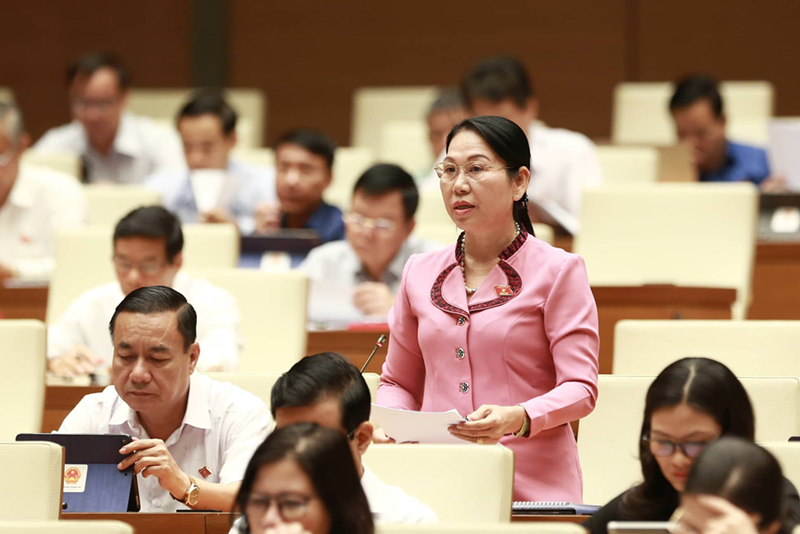 Đại biểu Nguyễn Thanh Thủy (đoàn Hậu Giang) phát biểu.