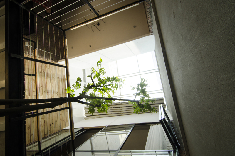 Nhờ giếng trời, ánh sáng có thể đi thẳng vào mọi ngõ ngách bên trong.